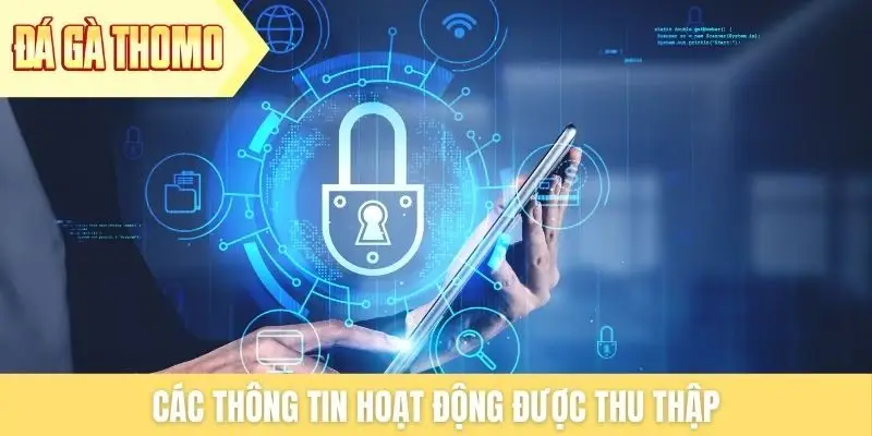 Các thông tin hoạt động được thu thập