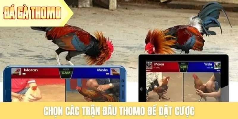 Chọn các trận đấu Thomo để đặt cược Chọn các trận đấu Thomo để đặt cược