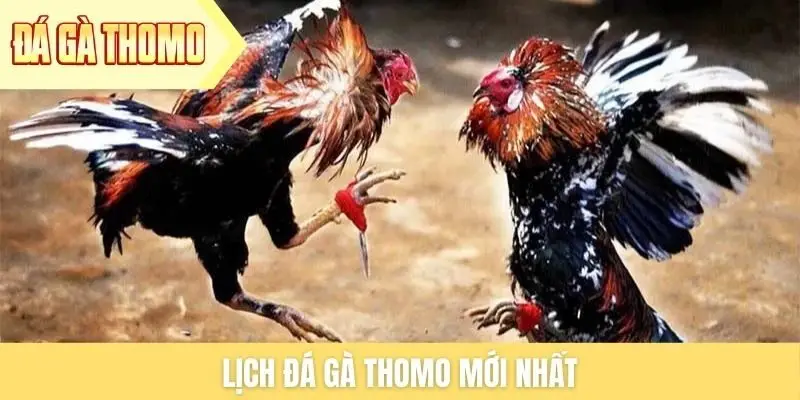 lich-da-ga-thomo-moi-nhat