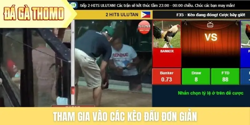 Tham gia vào các kèo đấu đơn giản