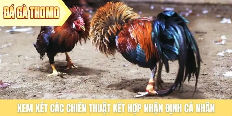 Xem xét các chiến thuật kết hợp nhận định cá nhân Xem xét các chiến thuật kết hợp nhận định cá nhân