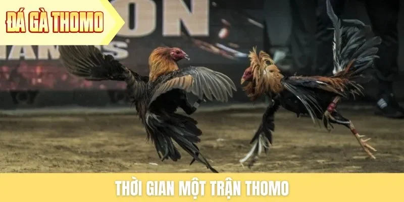 thoi-gian-mot-tran-thomo